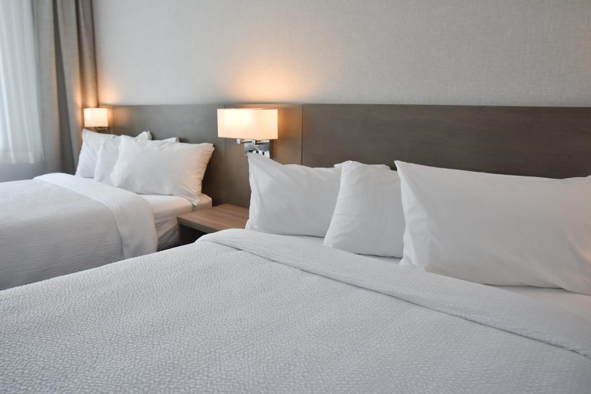 Repotel Levis Bagian luar foto